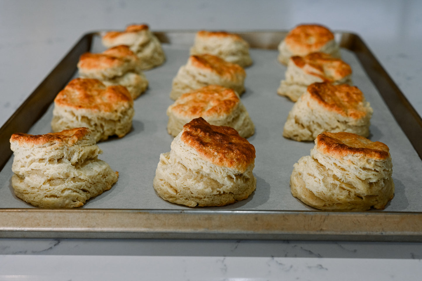 SCONES