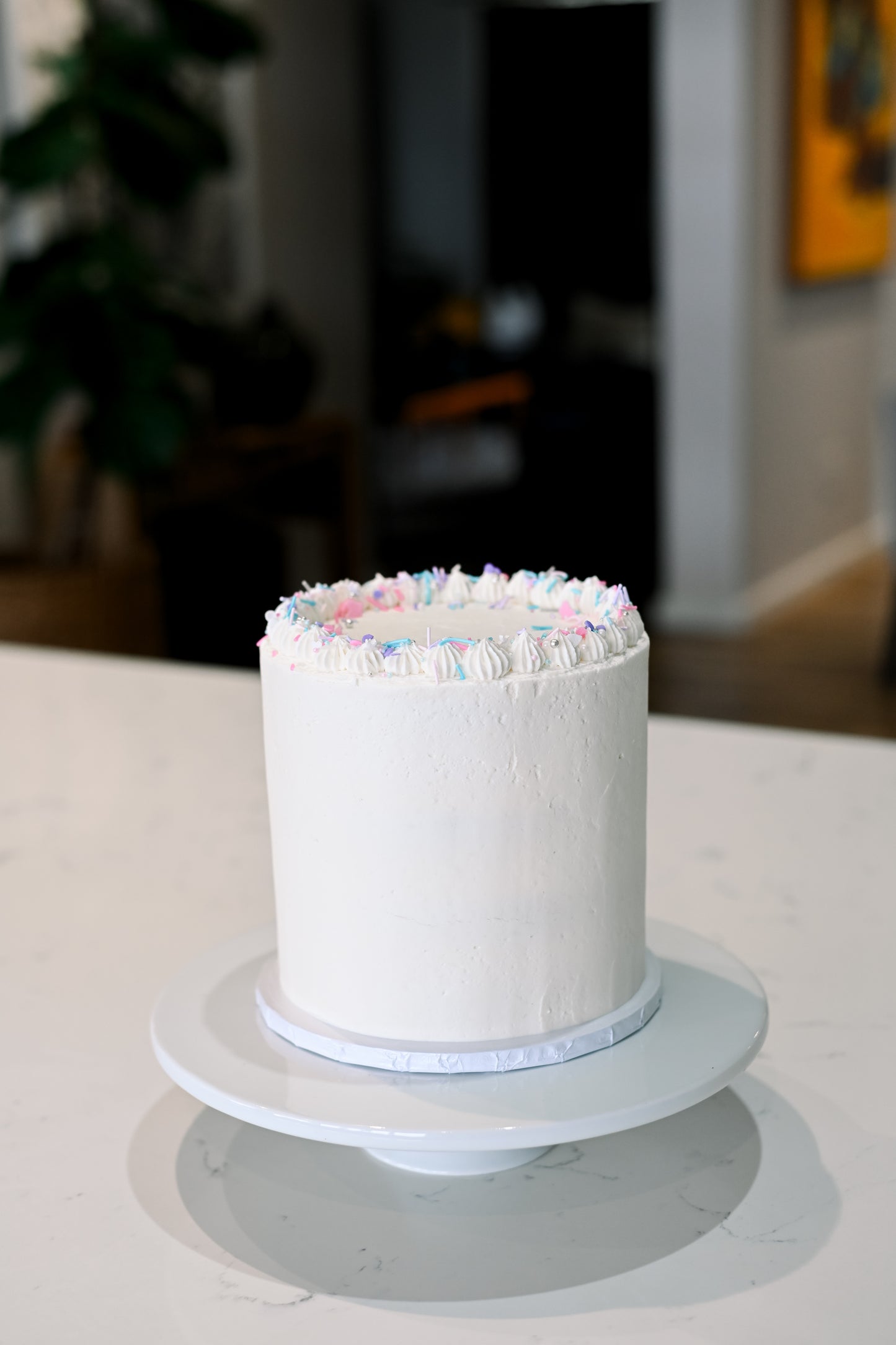GENDER REVEAL